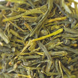 <B>SENCHA KOTO du Japon</B>